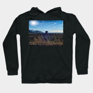 Lonely Barn Hoodie